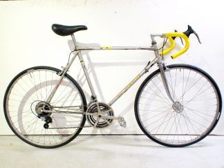 Champion 55 cm