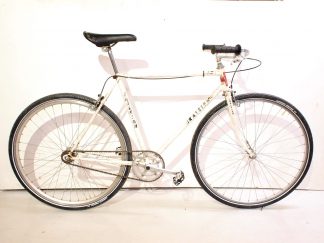 Raleigh sinkula/fiksi 54cm